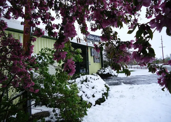 Motel Holiday Lodge Motel